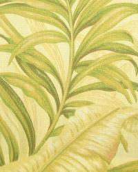 Hawaiian Garden